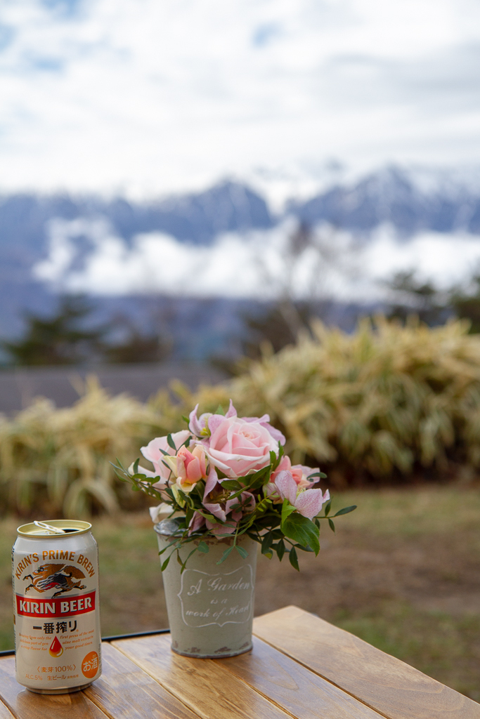 キャンプのお花を