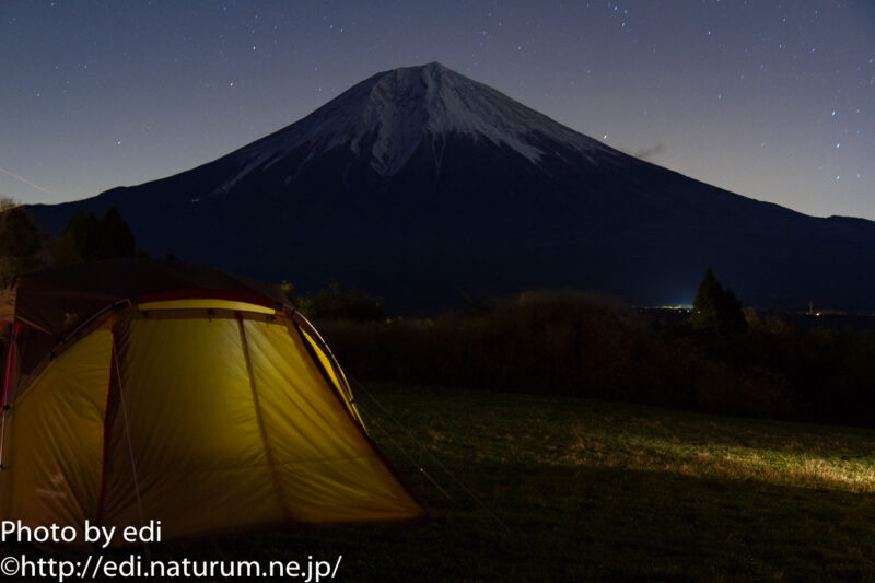 リビングシェルと富士山