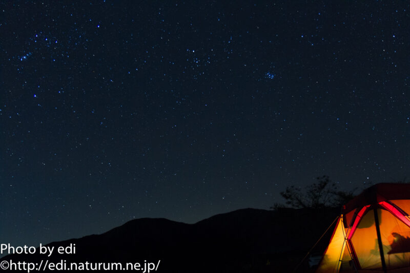 リビングシェルと星空