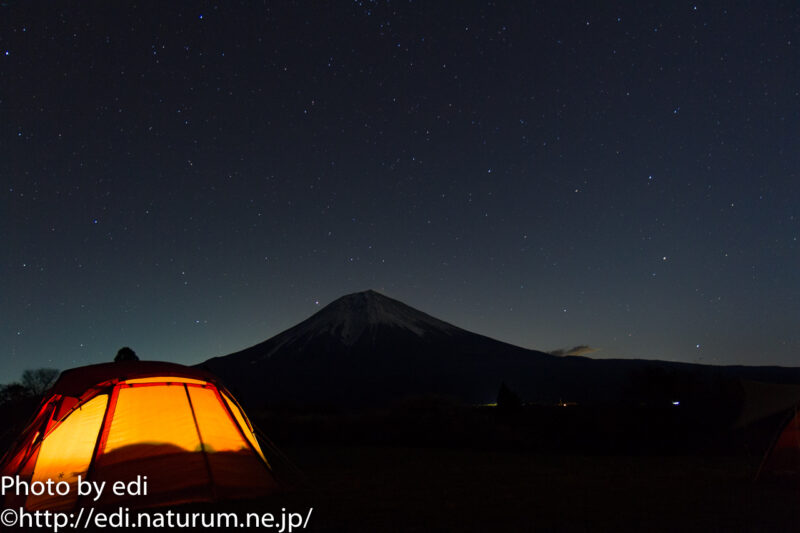 リビングシェルと富士山