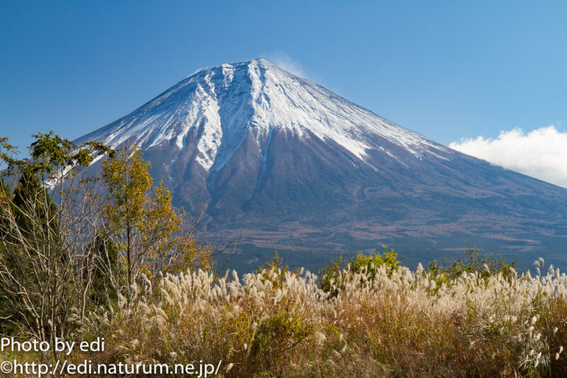 富士山