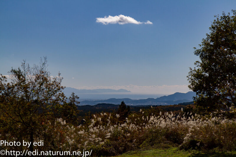 朝霧高原から見る駿河湾