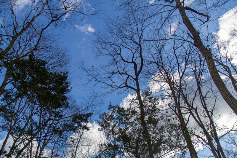 杜のテラス快晴