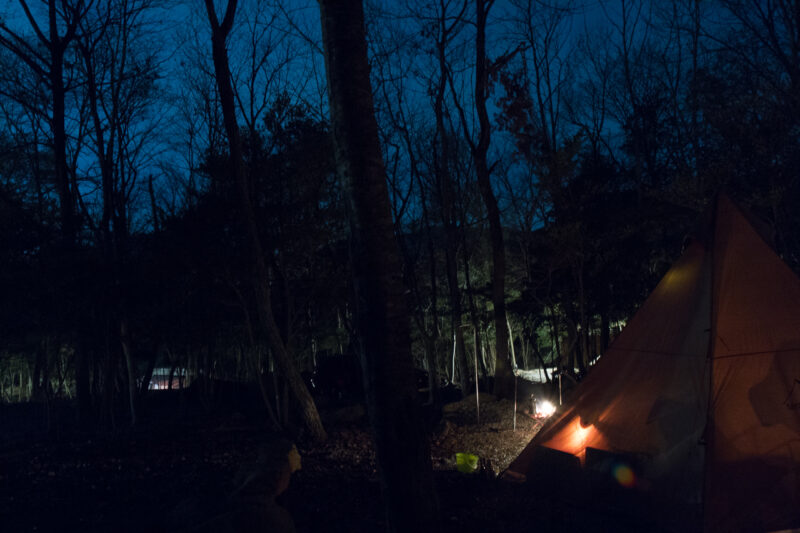 杜のテラスの夜