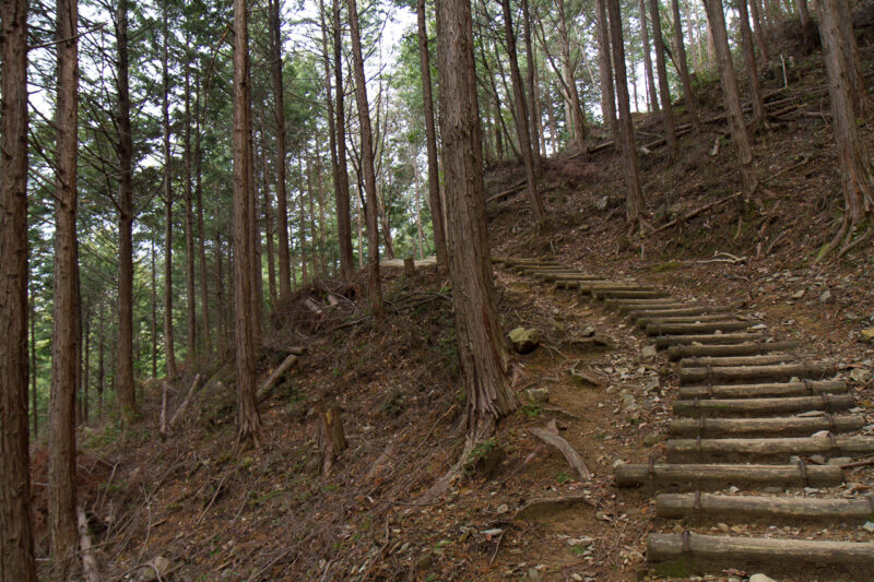 剣尾山登山道